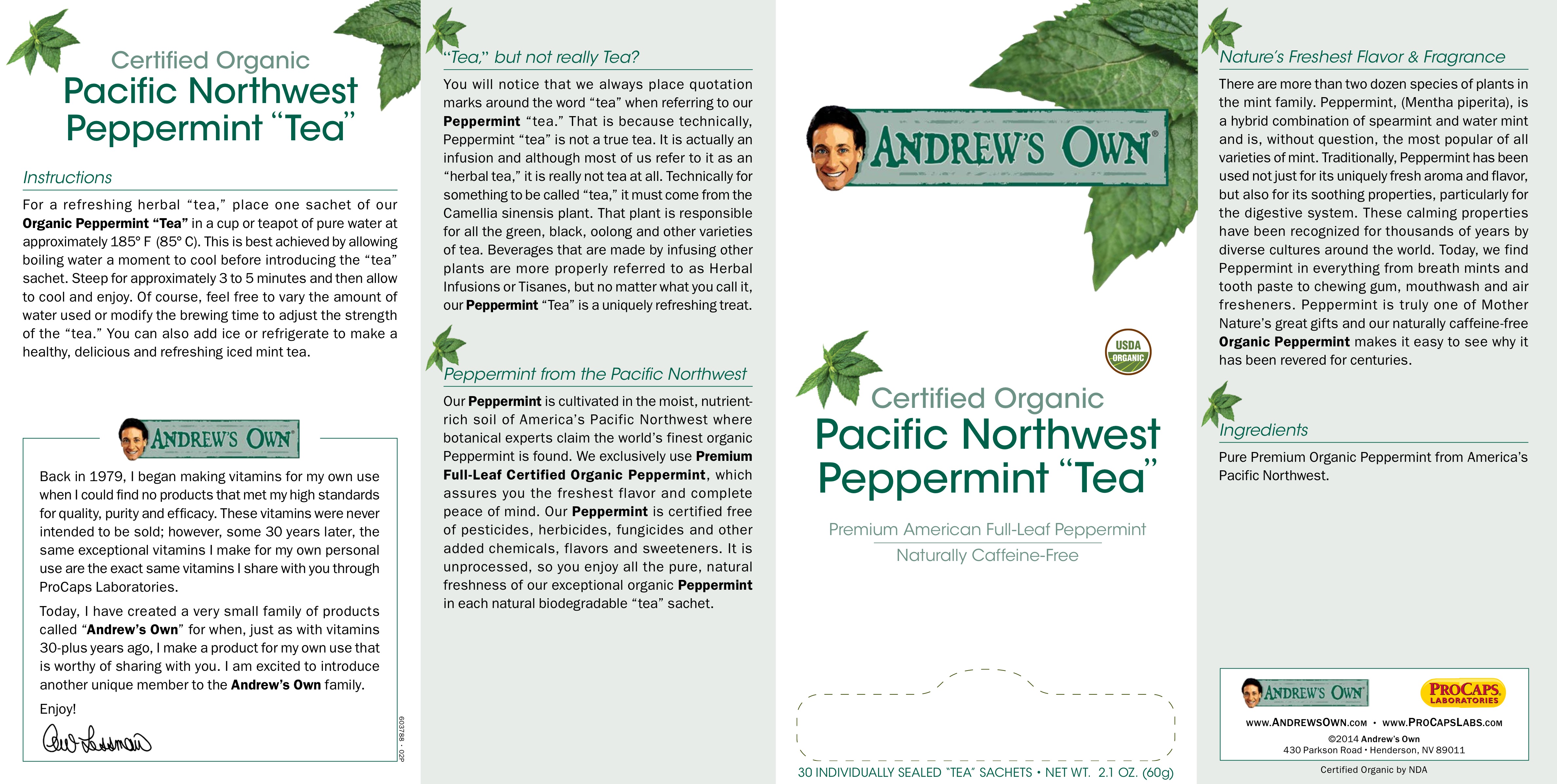 Tea-Peppermint-Tea-Sachets-Anti-oxidants